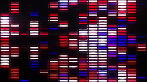 Equalizer Neon Light