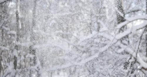 Winter landscape during snowfall. Winter Christmas abstract background on super slow motion.