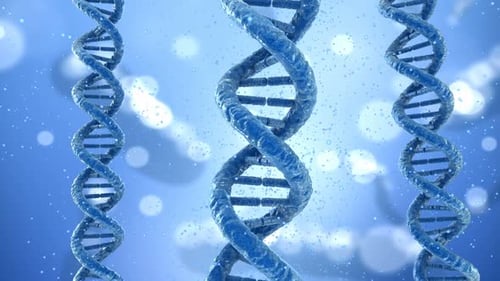 DNA molecule concept, Medical accurate 3D animation