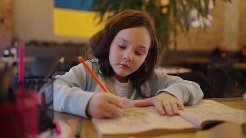 The Girl Draws with Colored Pencils in the Album