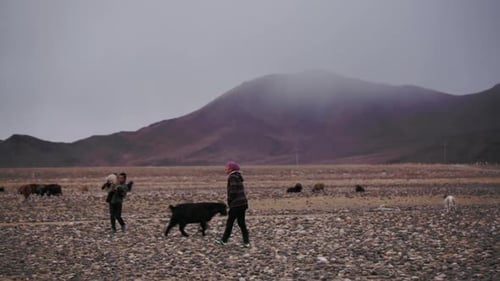 Deluun, Mongolia - November 9, 2015: Life in Harsh Mongolian Territory, Large