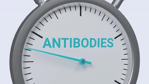 Antibodies increasing