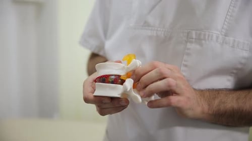 An Elderly Woman at an Orthopedic Doctor's Appointment with a Model of the Anatomy of the Human