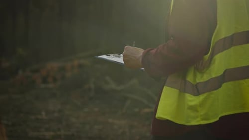 A young worker in overalls with a bright vest carries out work cutting down trees in a forest plot
