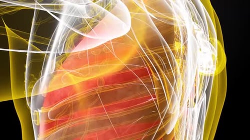 Respiratory system infection. Lung inflammation. Pneumonia