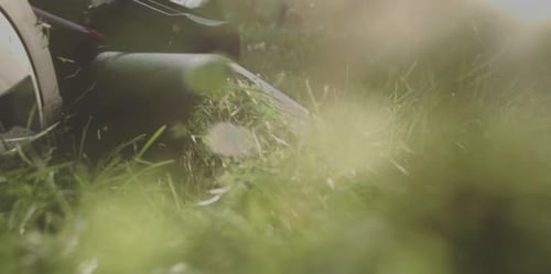 Mowing grass with lawn mower