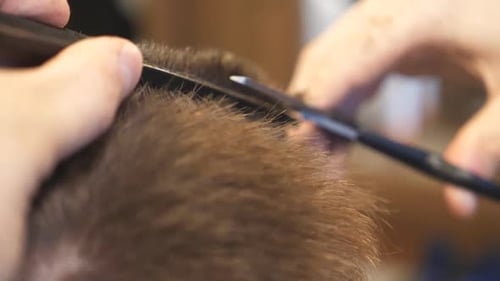 Male Hands of Hairdresser Combing and Cutting Short Hair of Customer By Hairbrush and Scissors in