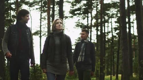 Two young couples are walking in a beautiful autumn forest with sunlight braking through the leaves.