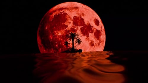 Red Big Moon And Island View