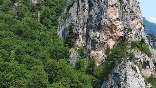 Pine Tree on the Rocks Mountains Landscape