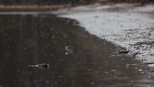 snowing at a lake in slow motion