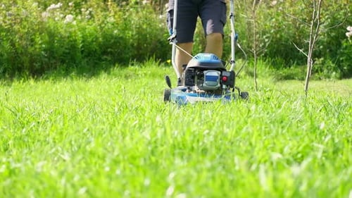 Lawn Mower Cutting Grass Small Grass Cuttings Fly Out of Lawnmower Grass Clippings Get Spewed Out of