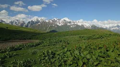 Aerial View of Snowcapped Svaneti Mountains with Lush Green Fields Scenic Landscape with Blue Sky