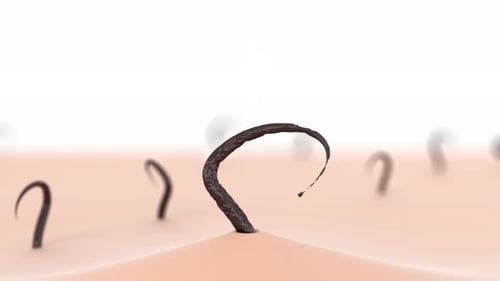 Skincare Brown Hair Care Hair Growth Oil Drop to Root