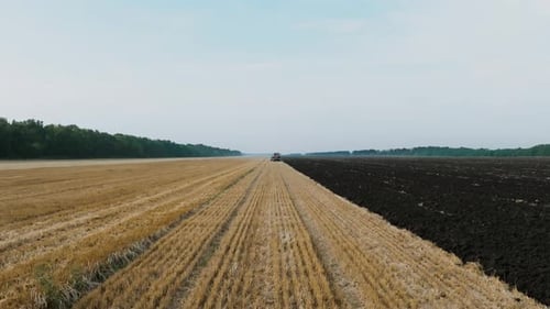 Flying Over Freshly Harvested Wheat Field Abstract Texture Background Farming Footage The Field