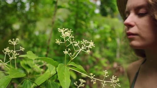 Mulher examina e cheira flores brancas de canela em um exuberante jardim botânico verde imerso na natureza
