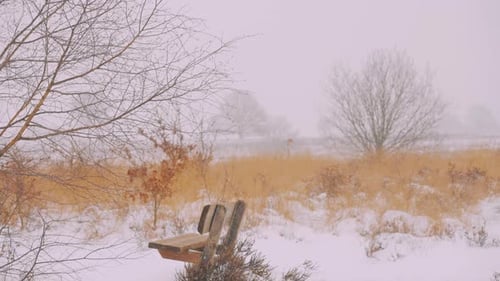 Snowstorm Day On A Countryside Forest Park With Isolated Wooden Bench. - Static Shot