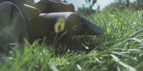 Grass clippings get spewed out