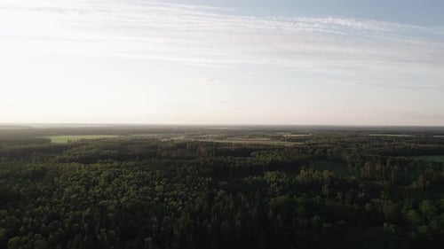Beautiful Aerial View of the Endless Forests and Meadows on a Sunny Summer Day