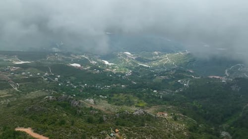 Atmospheric Bliss Aerial View of the Forest's Mystical Atmosphere After the Rain