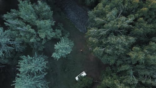 Aerial view of the white car