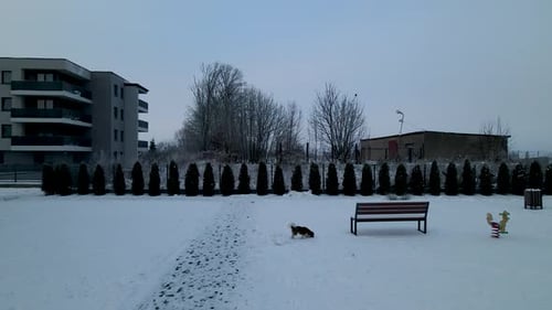 Lubawa poland, lonely desolate residential area of the city after snow storm white winter landscape