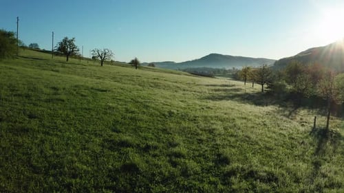 aerial shot of beautiful green field with morning dew during sunny day in the countryside of switzer