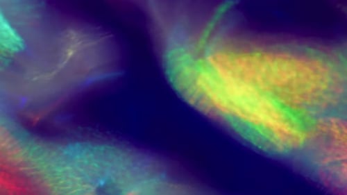 Rainbow Leak Blur Hologram Overlay Colorful Light