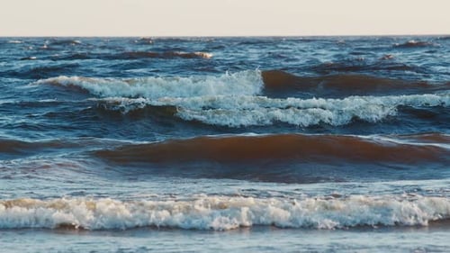 Ladoga lake surfing. Man in black wetsuit paddles surfboard on Ladoga Lake