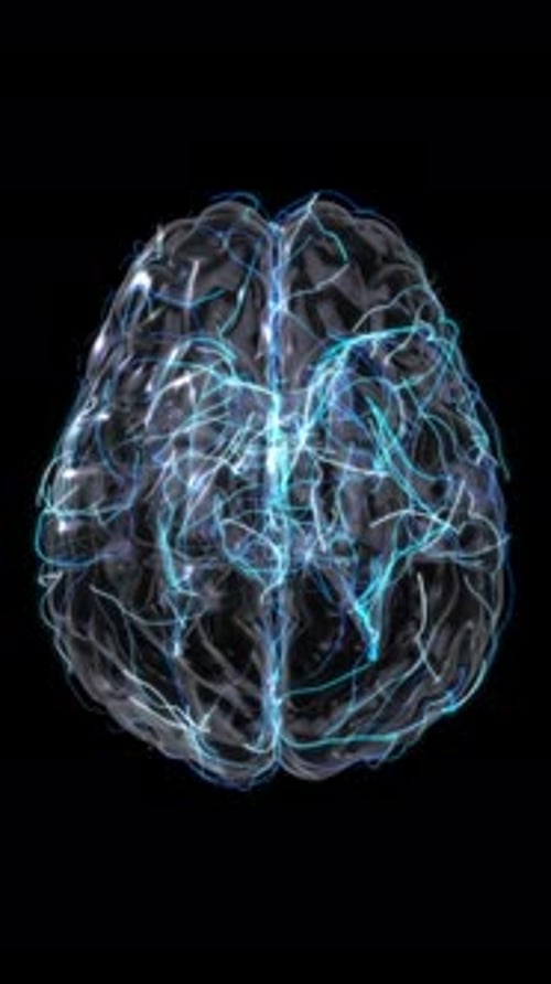 3D Human Brain with Moving Neuron Signals Reading Neural Signals Through Braincomputer Interface