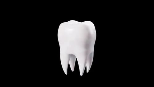 Human tooth model, tooth with plaque, unhealthy tooth, alpha channel, 3d rendering.