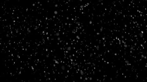 Real Snow It Is Snowing