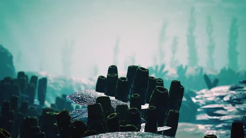 Underwater Coral Reef with Sun Rays