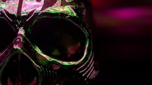 Crâne humain avec accents dorés en gros plan