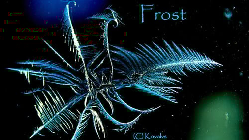 Frost