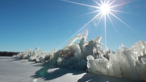 Winter Ice Blocks
