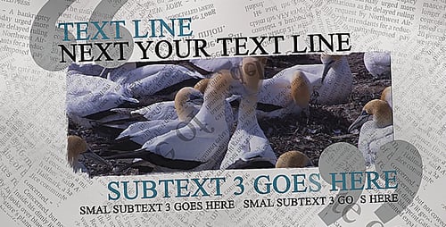 The Newspaper Project