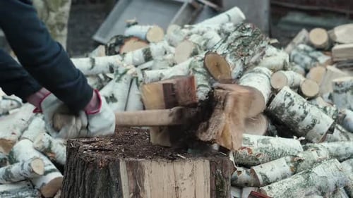 Couper du bois au Ralenti