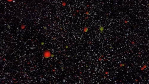 Partículas brancas e vermelhas se movem aleatoriamente