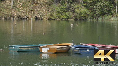 Boats Floating on Lake