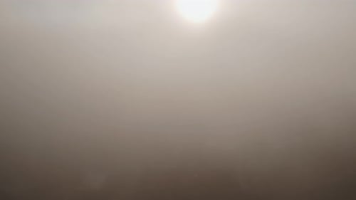 Beautiful View of the World Famous Painted Ladies Houses Located in Alamo Square