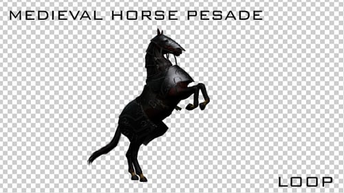 Medieval War Horse Pesade