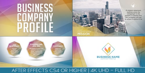 Business Company Profile