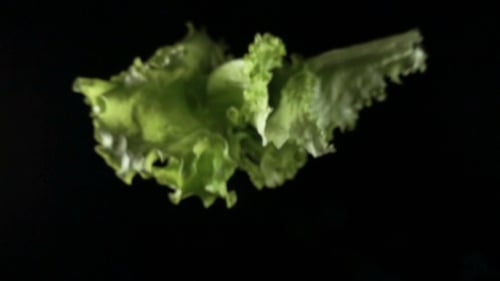 Lettuce Leaf Falling on a Black Surface in