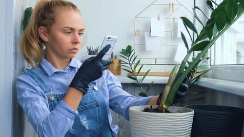 Gardener Woman Blogger Using Phone While Transplants Indoor Plants and Use a Shovel on Table