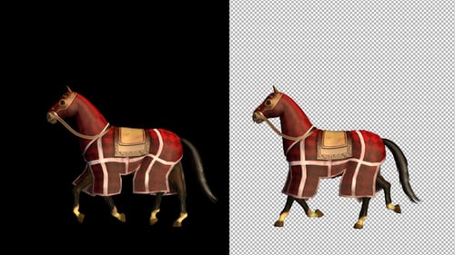 Medieval War Horse Canter Walk Start and Stop