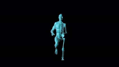 4K Skeleton Man Running