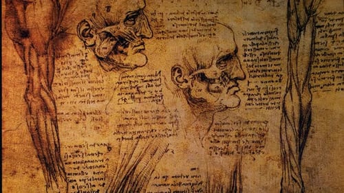 Dibujos de anatomía