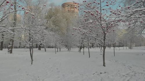 The beginning of winter in a city park