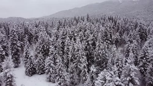 Winter Landscape Aerial view